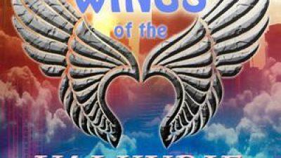 Wings Of The Valkyrie 9