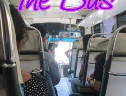 The Bus