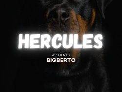 Hercules 7