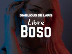 LIBRE BOSO